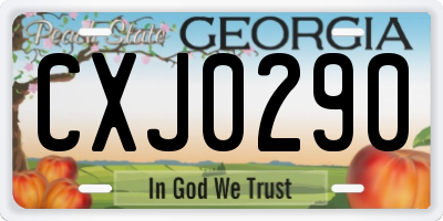 GA license plate CXJ0290