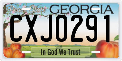GA license plate CXJ0291
