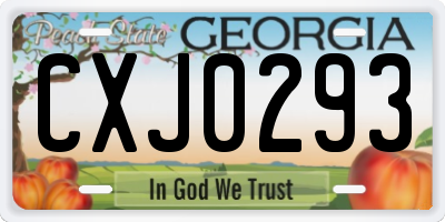 GA license plate CXJ0293