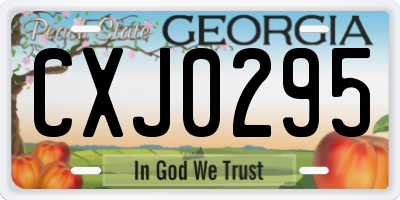 GA license plate CXJ0295