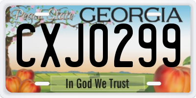 GA license plate CXJ0299