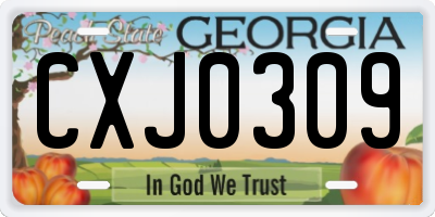 GA license plate CXJ0309
