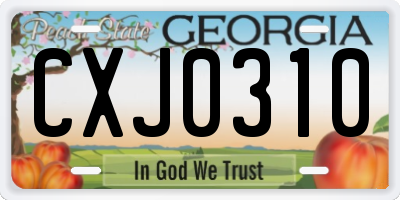 GA license plate CXJ0310