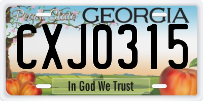 GA license plate CXJ0315