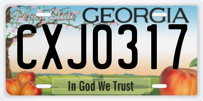 GA license plate CXJ0317