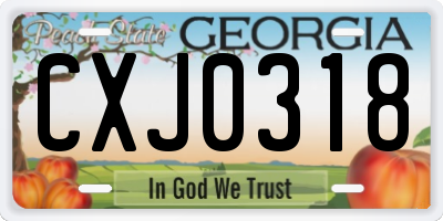 GA license plate CXJ0318