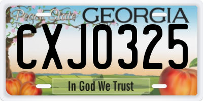 GA license plate CXJ0325