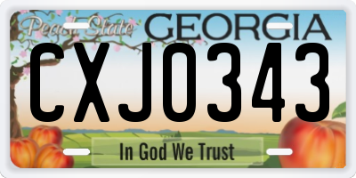 GA license plate CXJ0343