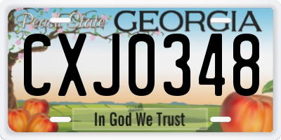 GA license plate CXJ0348