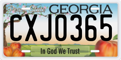 GA license plate CXJ0365