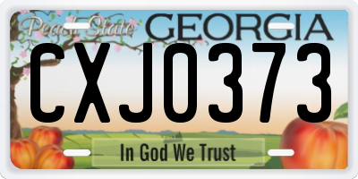 GA license plate CXJ0373