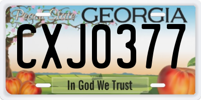 GA license plate CXJ0377