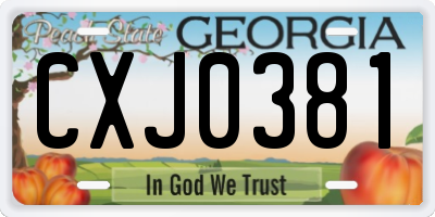 GA license plate CXJ0381