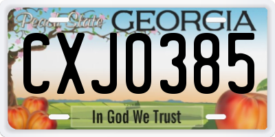 GA license plate CXJ0385