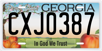 GA license plate CXJ0387