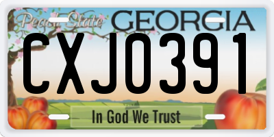 GA license plate CXJ0391