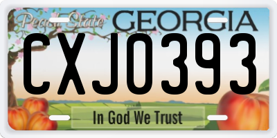 GA license plate CXJ0393