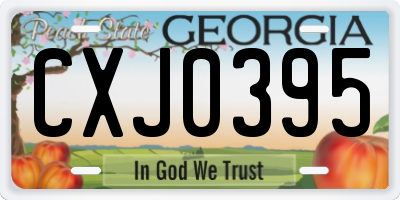 GA license plate CXJ0395