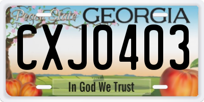 GA license plate CXJ0403