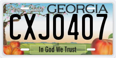GA license plate CXJ0407