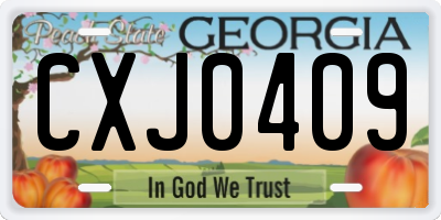 GA license plate CXJ0409