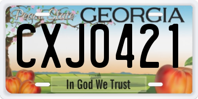 GA license plate CXJ0421