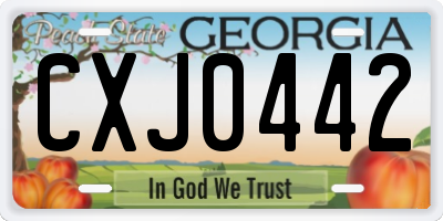 GA license plate CXJ0442