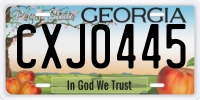 GA license plate CXJ0445