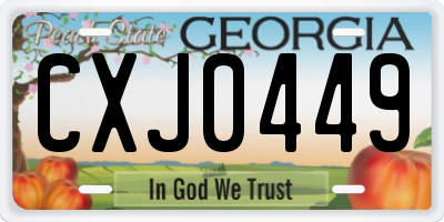 GA license plate CXJ0449