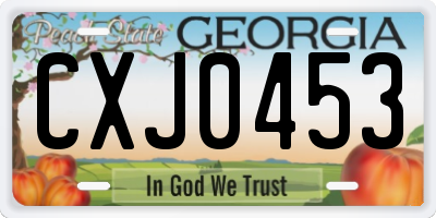 GA license plate CXJ0453