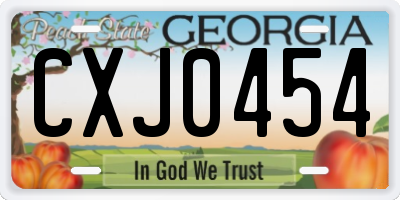 GA license plate CXJ0454