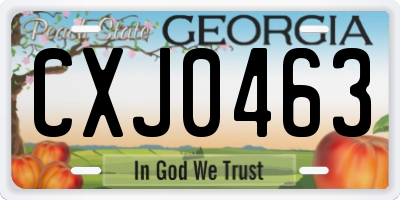 GA license plate CXJ0463