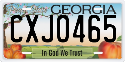 GA license plate CXJ0465