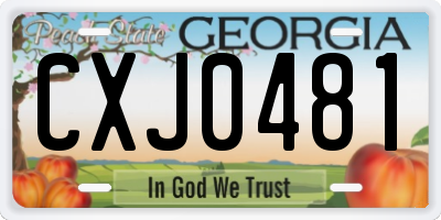 GA license plate CXJ0481