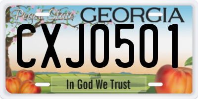 GA license plate CXJ0501
