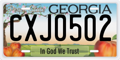 GA license plate CXJ0502