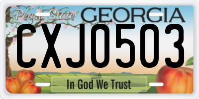 GA license plate CXJ0503