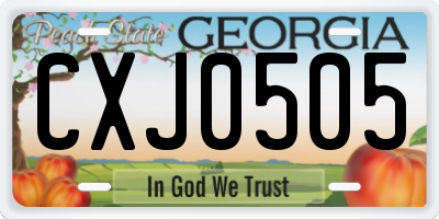 GA license plate CXJ0505