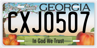 GA license plate CXJ0507
