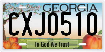 GA license plate CXJ0510