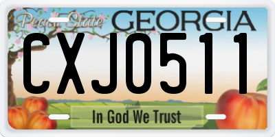 GA license plate CXJ0511