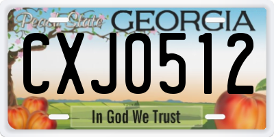 GA license plate CXJ0512