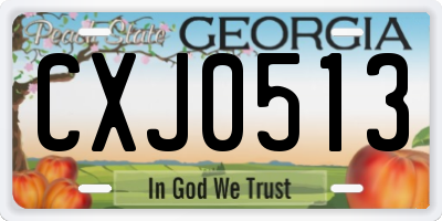 GA license plate CXJ0513