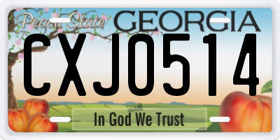 GA license plate CXJ0514