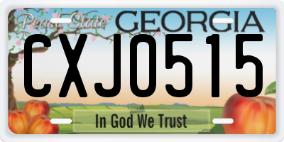 GA license plate CXJ0515
