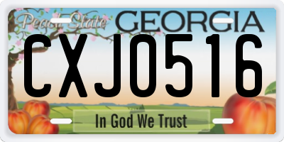 GA license plate CXJ0516