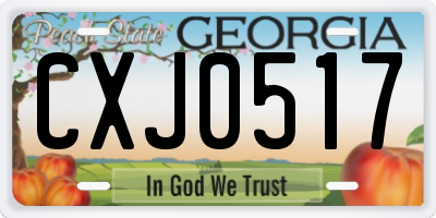 GA license plate CXJ0517