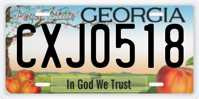 GA license plate CXJ0518