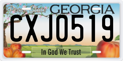 GA license plate CXJ0519