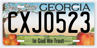 GA license plate CXJ0523